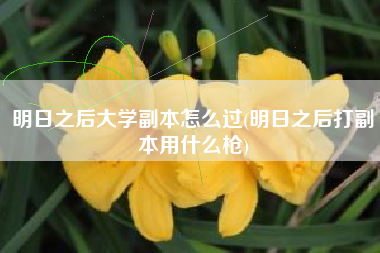 明日之后大学副本怎么过(明日之后打副本用什么枪)