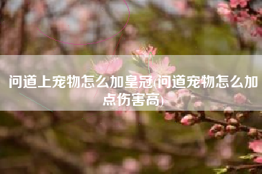 问道上宠物怎么加皇冠(问道宠物怎么加点伤害高)