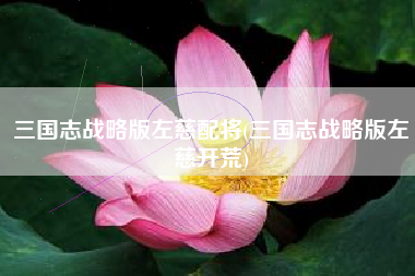 三国志战略版左慈配将(三国志战略版左慈开荒)