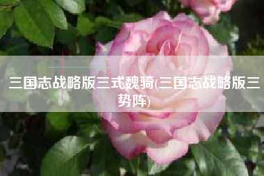 三国志战略版三式魏骑(三国志战略版三势阵)