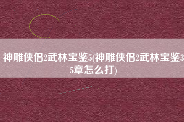 神雕侠侣2武林宝鉴5(神雕侠侣2武林宝鉴35章怎么打)