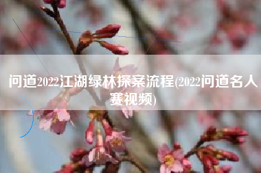 问道2022江湖绿林探案流程(2022问道名人赛视频)