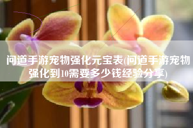 问道手游宠物强化元宝表(问道手游宠物强化到10需要多少钱经验分享)