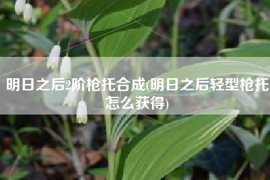 明日之后2阶枪托合成(明日之后轻型枪托怎么获得)