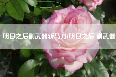 明日之后副武器斩马刀(明日之后 副武器)