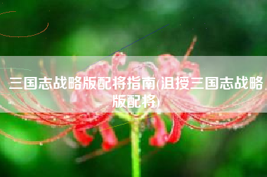 三国志战略版配将指南(沮授三国志战略版配将)