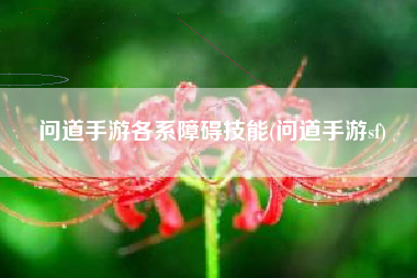 问道手游各系障碍技能(问道手游sf)