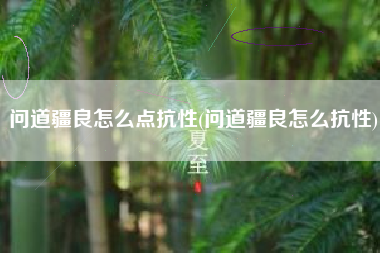 问道疆良怎么点抗性(问道疆良怎么抗性)
