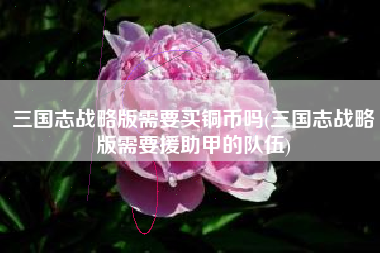 三国志战略版需要买铜币吗(三国志战略版需要援助甲的队伍)