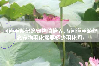 问道手游纪念宠物值培养吗(问道手游纪念宠物羽化需要多少羽化丹)