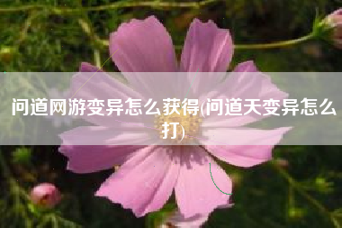 问道网游变异怎么获得(问道天变异怎么打)