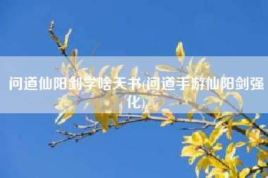 问道仙阳剑学啥天书(问道手游仙阳剑强化)