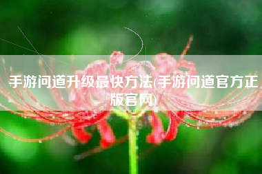 手游问道升级最快方法(手游问道官方正版官网)
