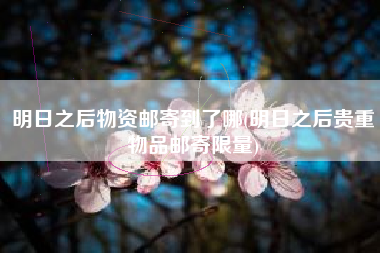 明日之后物资邮寄到了哪(明日之后贵重物品邮寄限量)