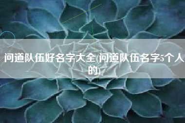 问道队伍好名字大全(问道队伍名字5个人的)
