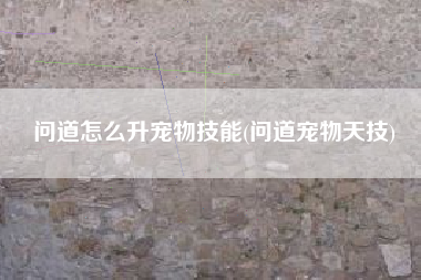 问道怎么升宠物技能(问道宠物天技)