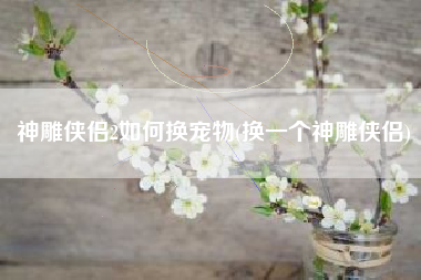 神雕侠侣2如何换宠物(换一个神雕侠侣)