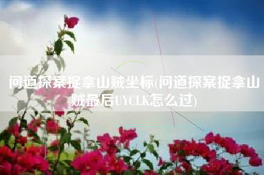 问道探案捉拿山贼坐标(问道探案捉拿山贼最后UYCLK怎么过)