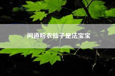 问道粉衣仙子是法宝宝