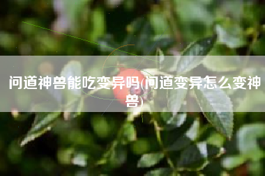 问道神兽能吃变异吗(问道变异怎么变神兽)