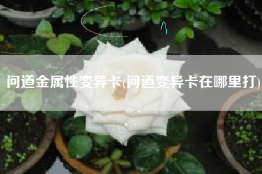 问道金属性变异卡(问道变异卡在哪里打)