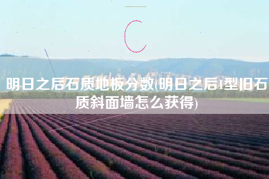 明日之后石质地板分数(明日之后1型旧石质斜面墙怎么获得)