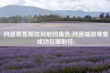 问道寄售期如何取回角色(问道端游寄售成功在哪取钱)