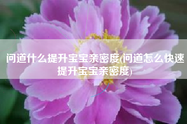 问道什么提升宝宝亲密度(问道怎么快速提升宝宝亲密度)