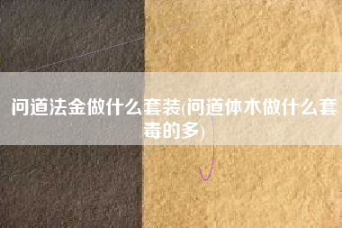 问道法金做什么套装(问道体木做什么套毒的多)