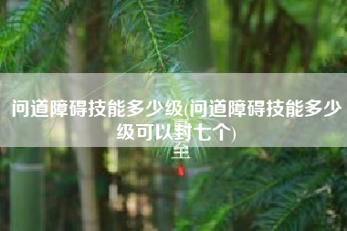 问道障碍技能多少级(问道障碍技能多少级可以封七个)