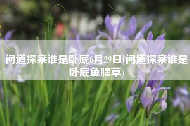 问道探案谁是卧底6月29日(问道探案谁是卧底鱼腥草)