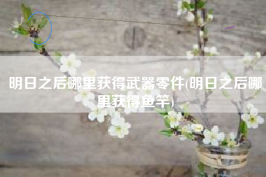 明日之后哪里获得武器零件(明日之后哪里获得鱼竿)