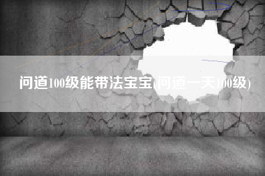 问道100级能带法宝宝(问道一天100级)
