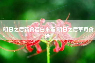 明日之后新食谱白米饭(明日之后草莓食谱)