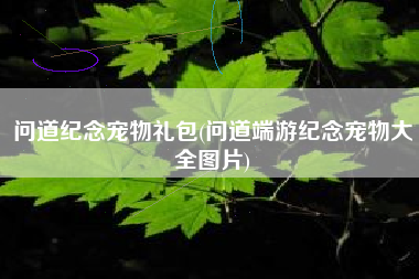 问道纪念宠物礼包(问道端游纪念宠物大全图片)