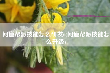 问道帮派技能怎么研发6(问道帮派技能怎么升级)