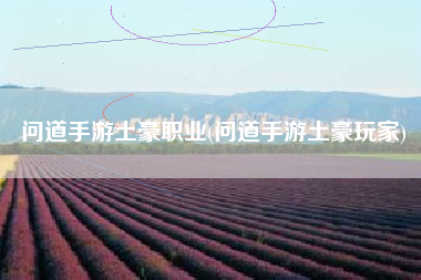 问道手游土豪职业(问道手游土豪玩家)
