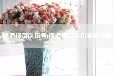 问道押镖队伍号(问道押镖队伍等级差距)