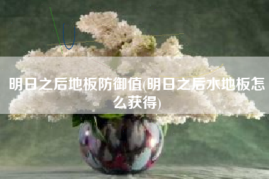 明日之后地板防御值(明日之后水地板怎么获得)