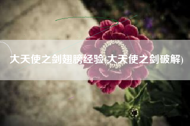 大天使之剑翅膀经验(大天使之剑破解)