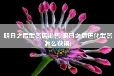 明日之后武器店出售(明日之后进化武器怎么获得)