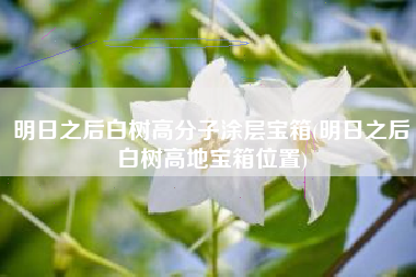 明日之后白树高分子涂层宝箱(明日之后白树高地宝箱位置)
