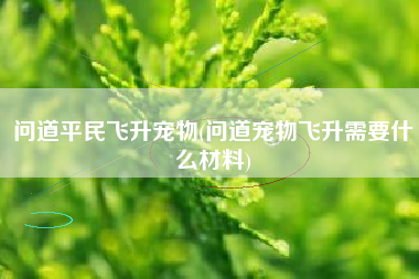 问道平民飞升宠物(问道宠物飞升需要什么材料)