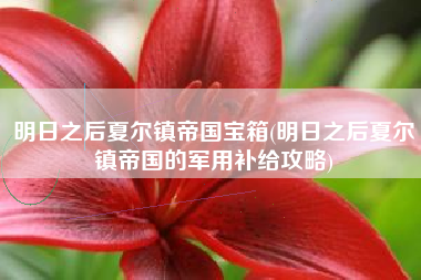 明日之后夏尔镇帝国宝箱(明日之后夏尔镇帝国的军用补给攻略)