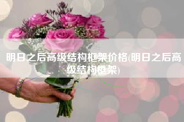 明日之后高级结构框架价格(明日之后高级结构框架)