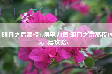 明日之后高校19层电力值(明日之后高校195层攻略)