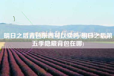 明日之后背包东西可以卖吗(明日之后第五季隐藏背包在哪)