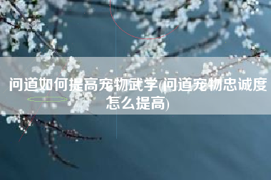 问道如何提高宠物武学(问道宠物忠诚度怎么提高)