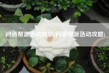 问道帮派活动温泉(问道帮派活动攻略)