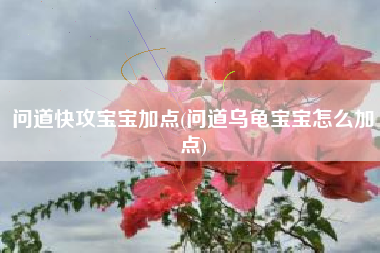 问道快攻宝宝加点(问道乌龟宝宝怎么加点)